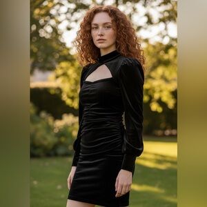 Zara Black Long Sleeve Velvet Dress